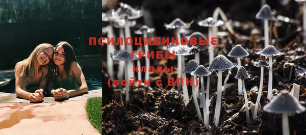 таблы Семикаракорск
