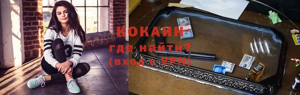 гашик Аркадак