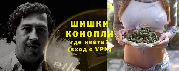 гашик Аркадак