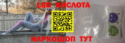 бошки Кингисепп