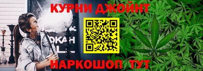 бошки Кингисепп