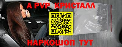 бошки Кингисепп