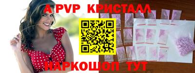 бошки Кингисепп