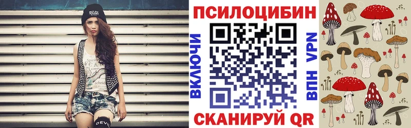 omg сайт  Спасск-Дальний  Псилоцибиновые грибы Psilocybe 