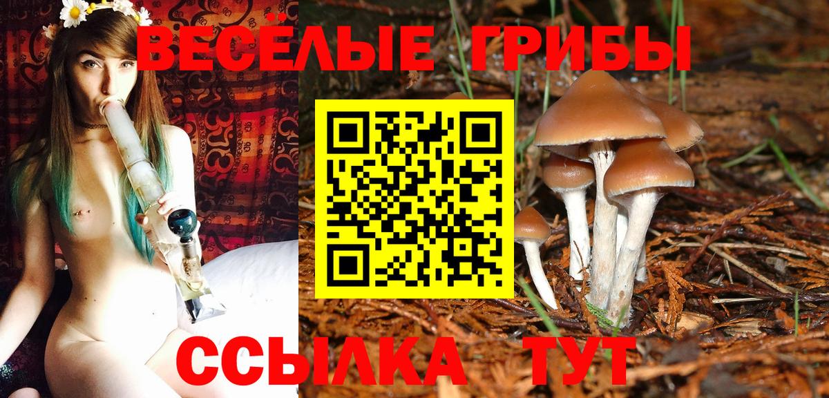 Псилоцибиновые грибы мухоморы Спасск-Дальний